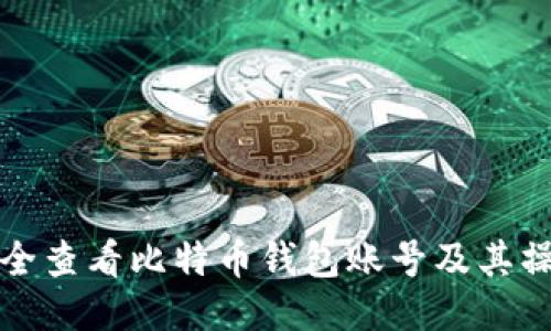 如何安全查看比特币钱包账号及其操作指南