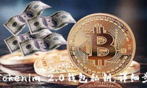   
如何安全导出Tokenim 2.0钱包私钥：详细步骤与注意事项