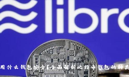 存比特币用什么钱包安全？全面解析比特币钱包的种类与安全性