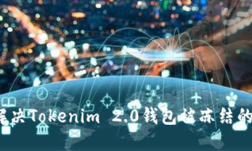 如何解决Tokenim 2.0钱包被冻结的问题？