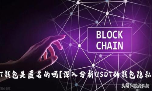 USDT钱包是匿名的吗？深入分析USDT的钱包隐私特性
