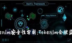 Tokenim安全性分析：Tokenim会被盗吗？