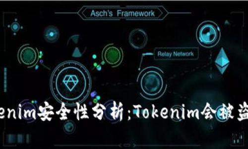 Tokenim安全性分析：Tokenim会被盗吗？