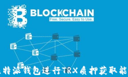 
如何通过比特派钱包进行TRX质押获取能量的全解析