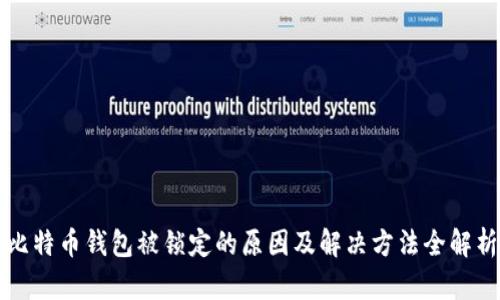 比特币钱包被锁定的原因及解决方法全解析
