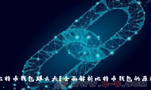 为什么比特币钱包那么大？全面解析比特币钱包的原理与发展